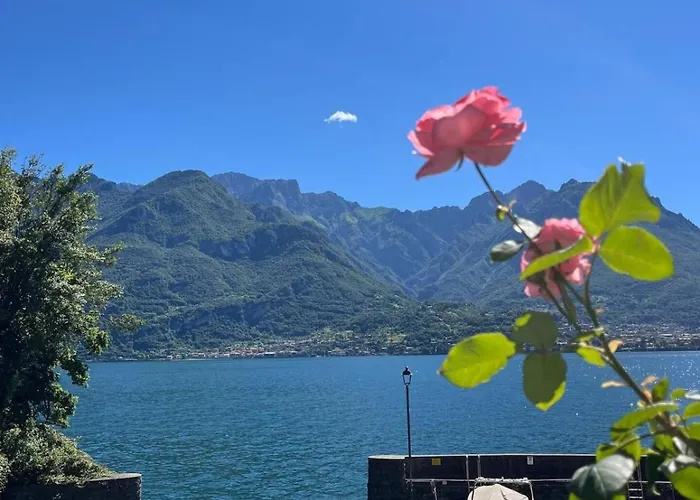 Apartamento Domus Graziana - Front