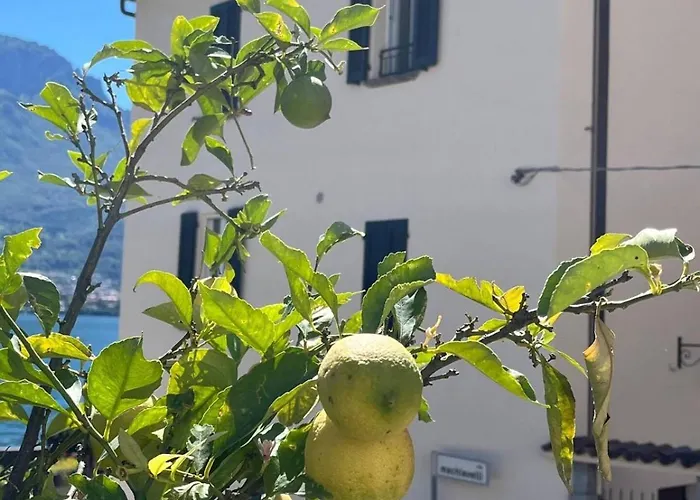 Domus Graziana - Front Apartamento Oliveto Lario