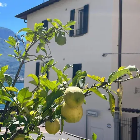 Domus Graziana - Front דירה Oliveto Lario